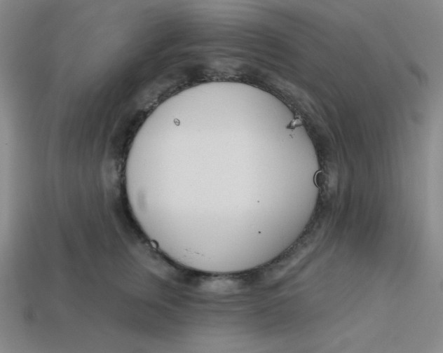 X0000113740759200910141004