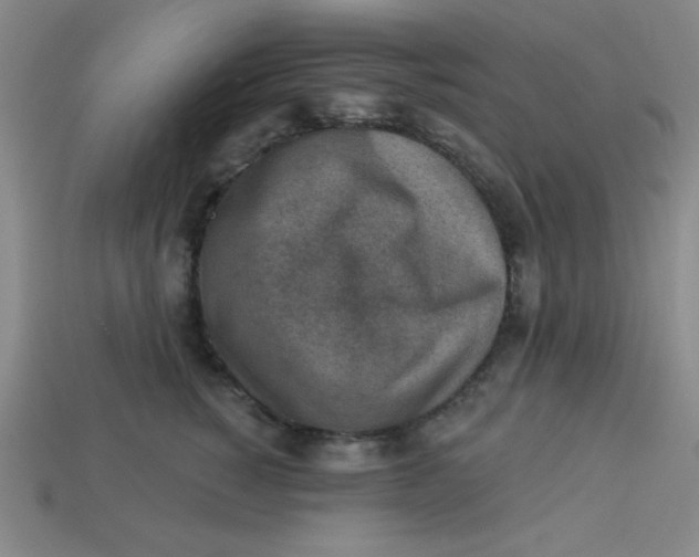 X0000113740760200910141004