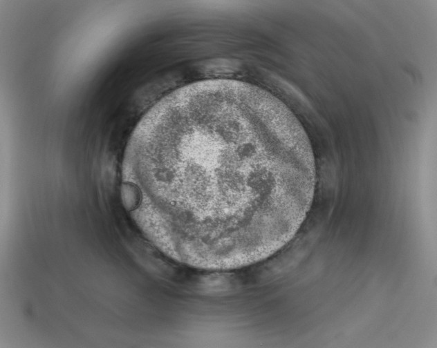 X0000113740761200910141004