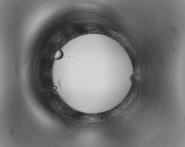 X0000113740763200910141004