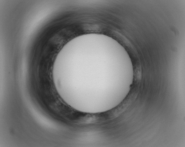 X0000113740764200910141004