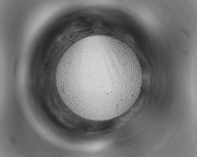 X0000113740765200910141004