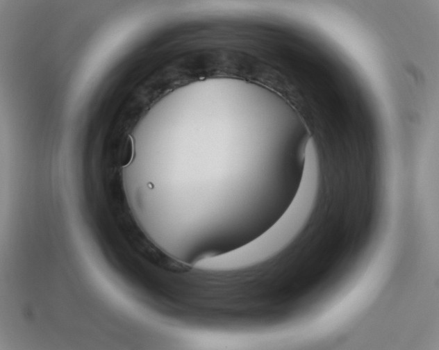 X0000113740766200910141004