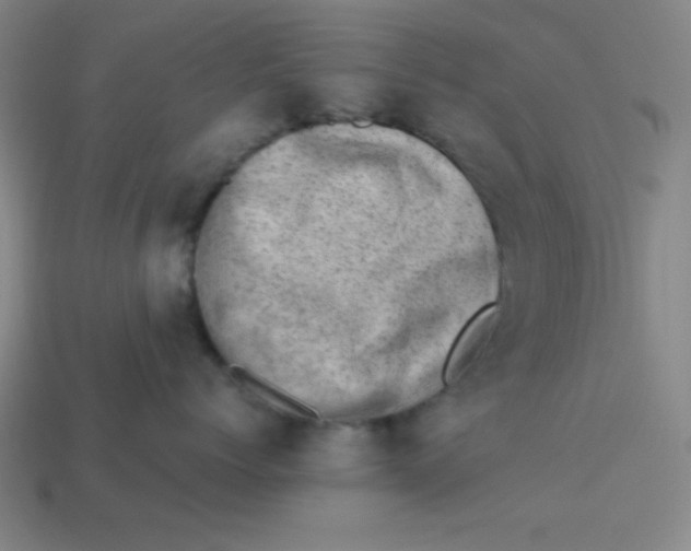 X0000113740768200910141004