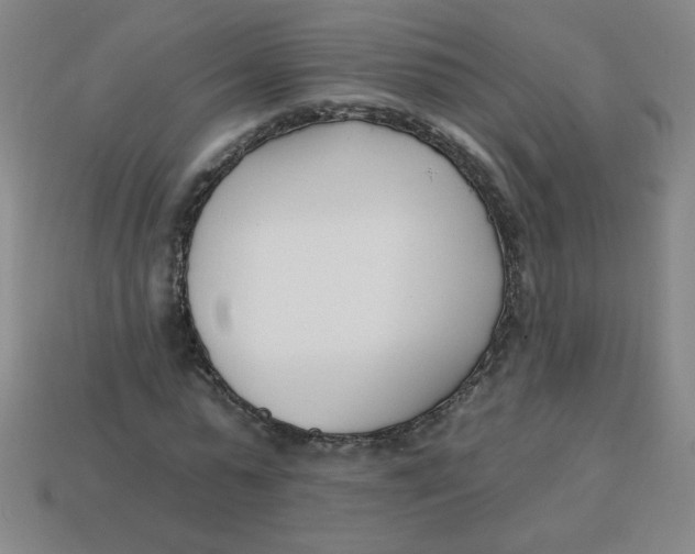 X0000113740775200910141003