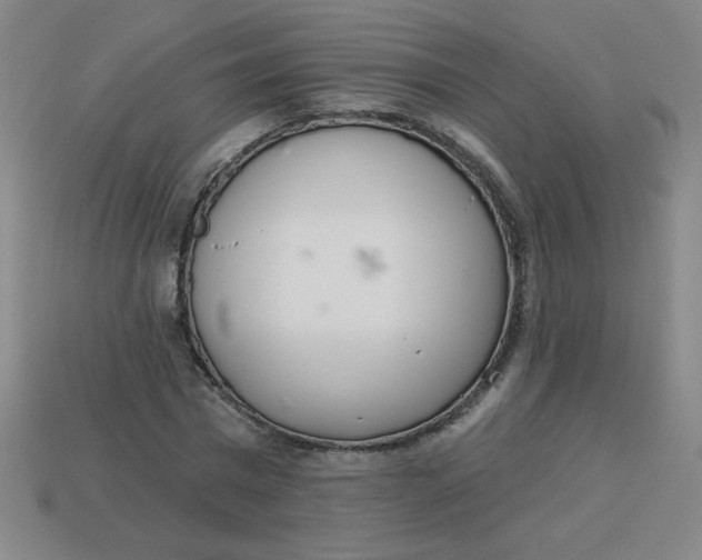 X0000113740777200910141003