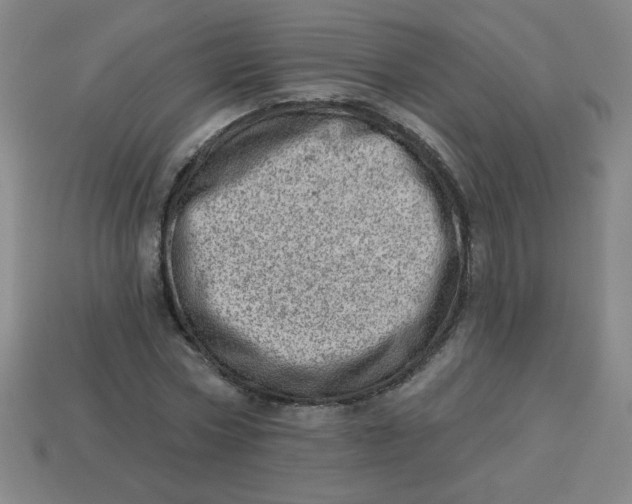 X0000113740778200910141003