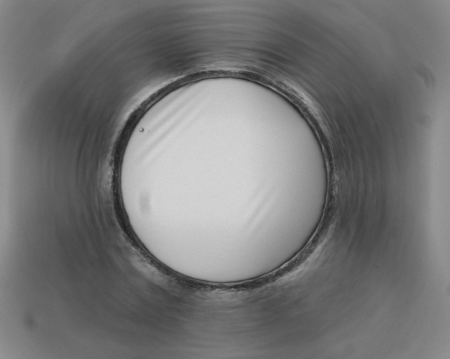 X0000113740779200910141003