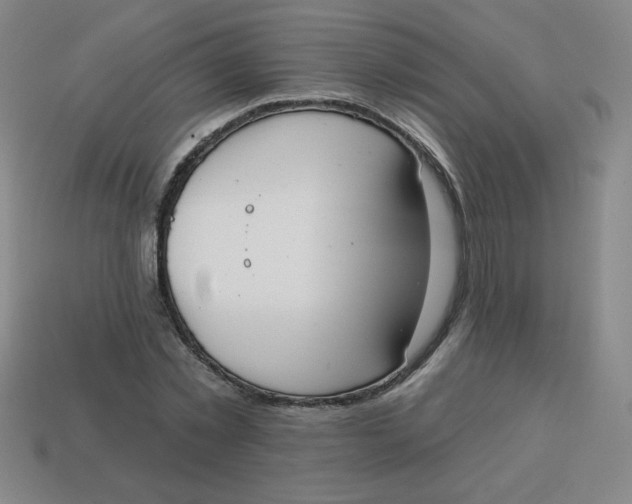 X0000113740781200910141003