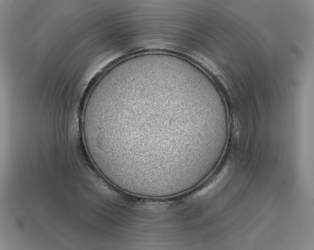 X0000113740782200910141003