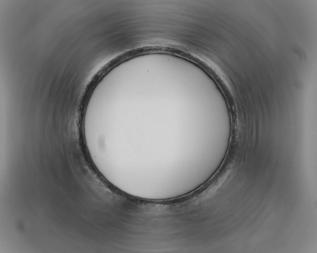 X0000113740783200910141002