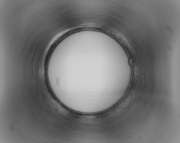 X0000113740784200910141002