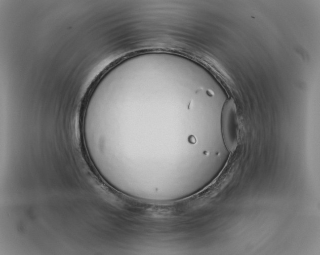 X0000113740788200910141002