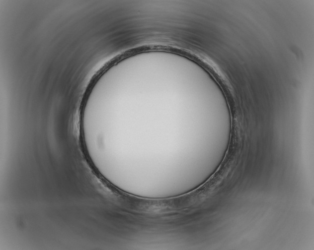 X0000113740791200910141002