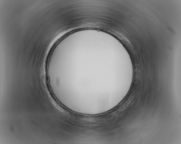 X0000113740792200910141002