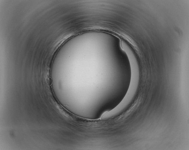 X0000113740793200910141002