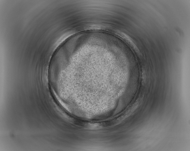 X0000113740794200910141002