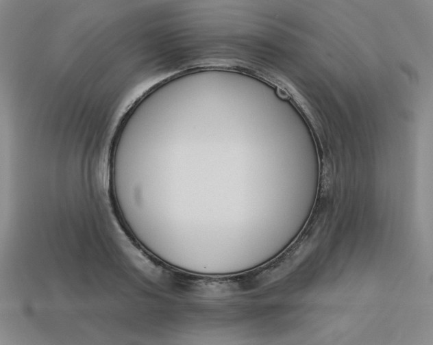 X0000113740795200910141002