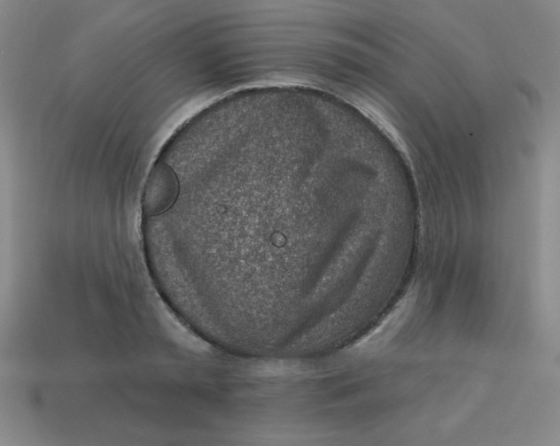 X0000113740797200910141002