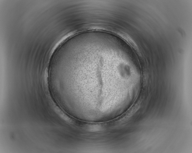 X0000113740798200910141002