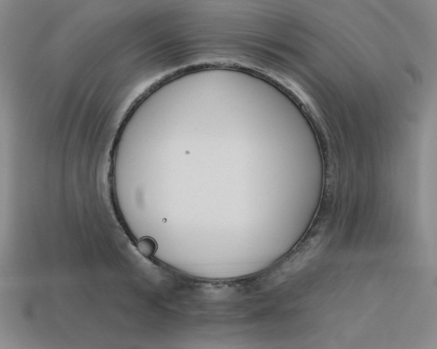 X0000113740799200910141002