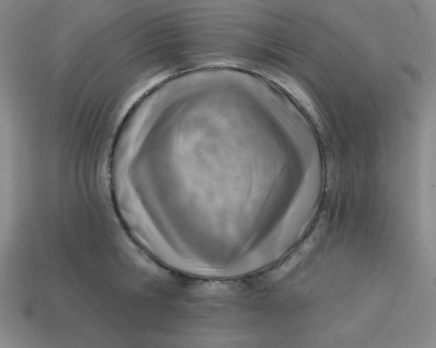 X0000113740806200910141002