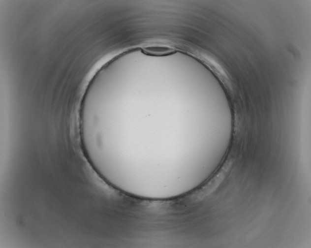 X0000113740808200910141002