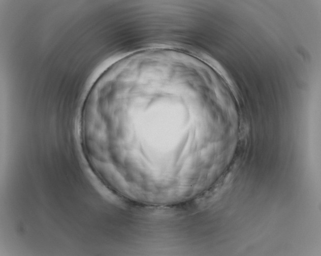 X0000113740811200910141002