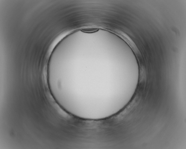 X0000113740812200910141002