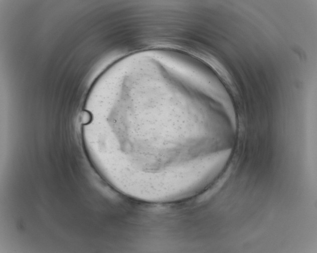 X0000113740814200910141002