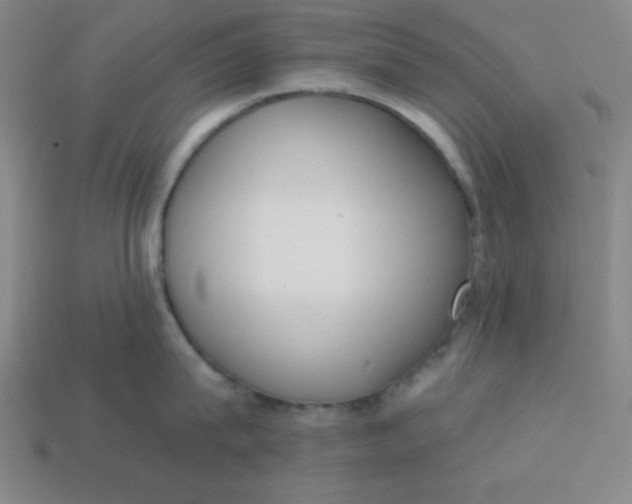 X0000113740815200910141002