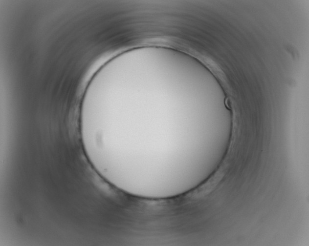 X0000113740816200910141002