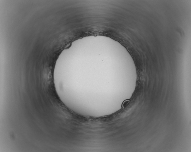 X0000113740818200910141001