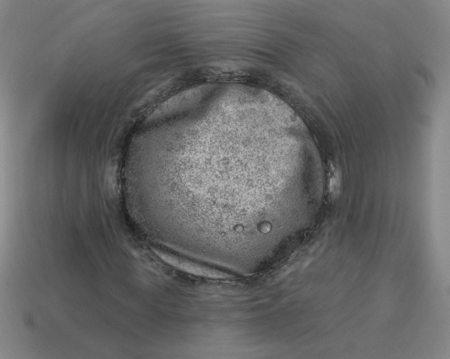 X0000113740819200910141001