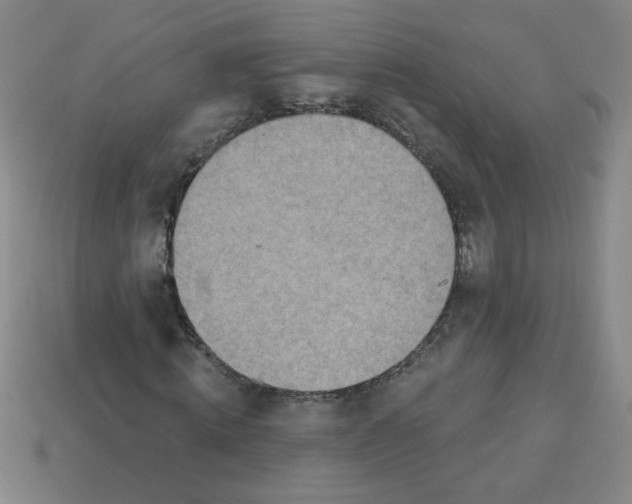 X0000113740820200910141001