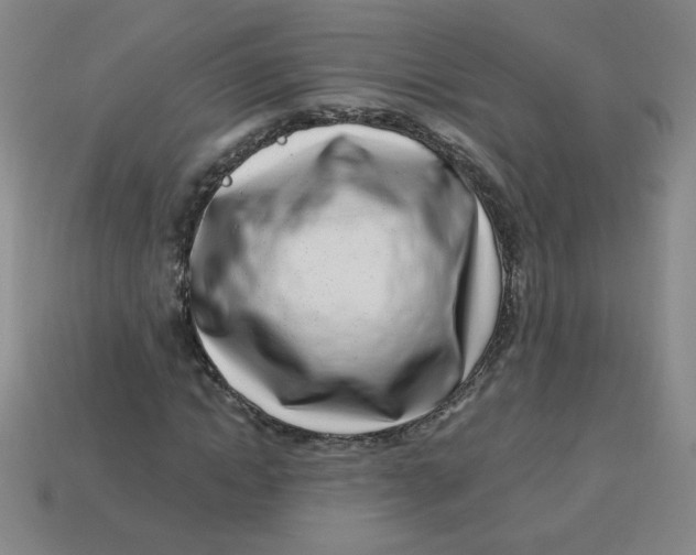 X0000113740822200910141001