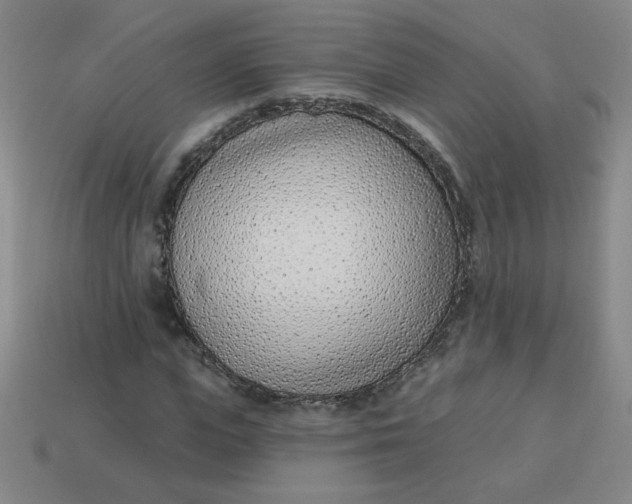 X0000113740823200910141001