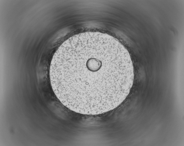 X0000113740824200910141001