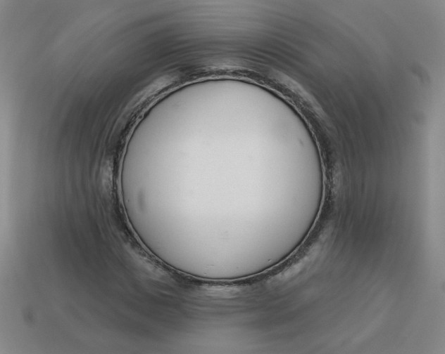 X0000113740825200910141001