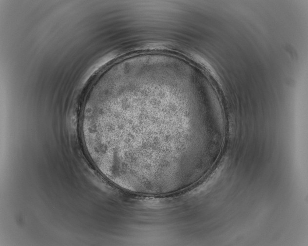 X0000113740827200910141001