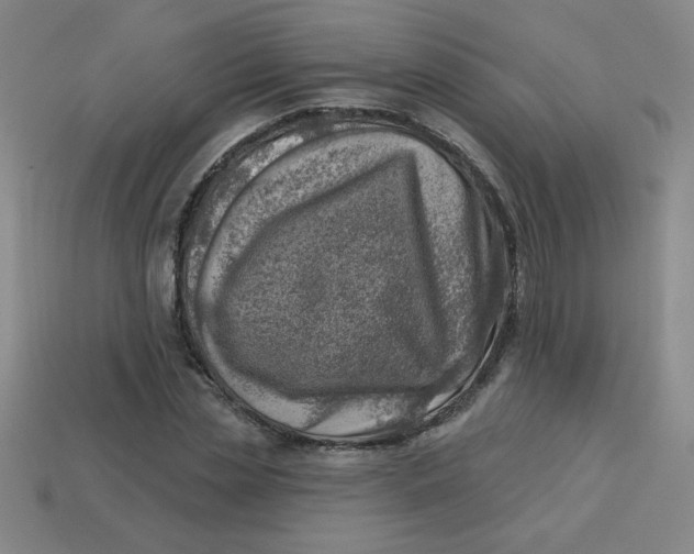 X0000113740829200910141001