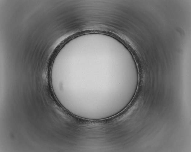 X0000113740830200910141001