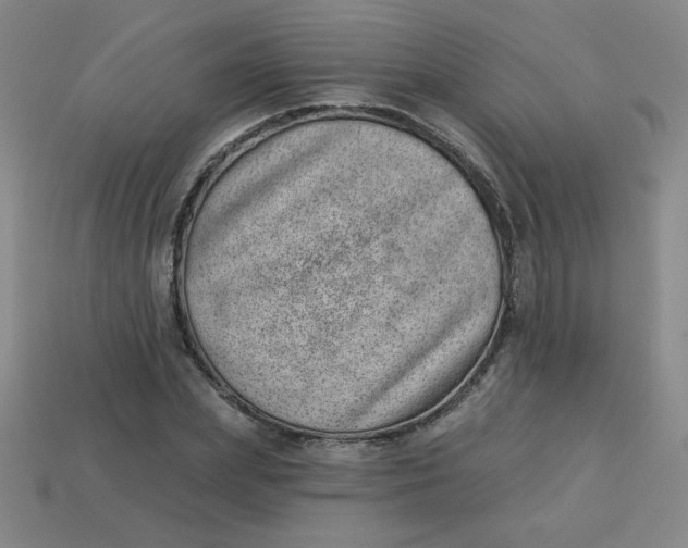 X0000113740831200910141001