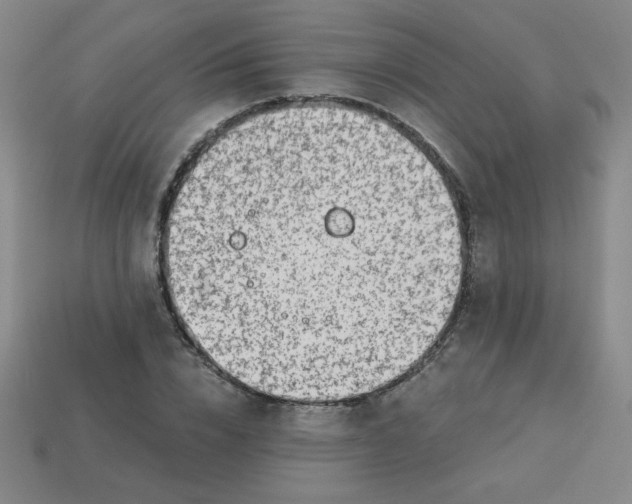 X0000113740832200910141001