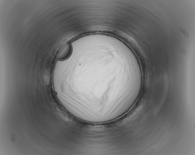 X0000113740833200910141001