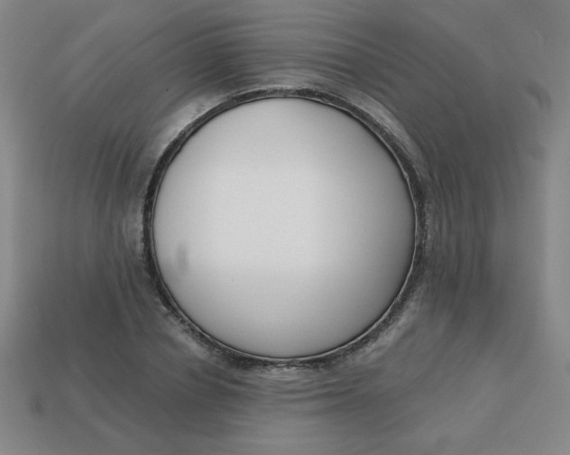 X0000113740834200910141001