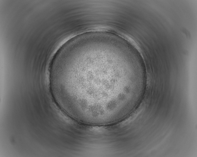 X0000113740835200910141002