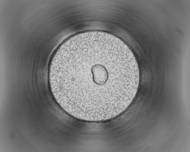 X0000113740836200910141002