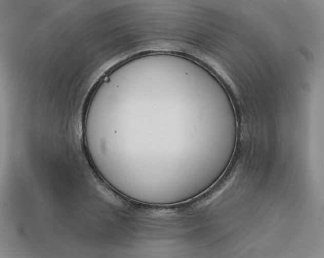 X0000113740837200910141002