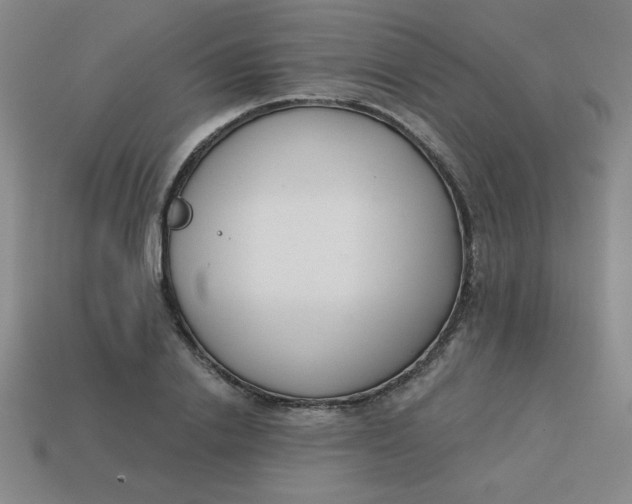 X0000113740838200910141002